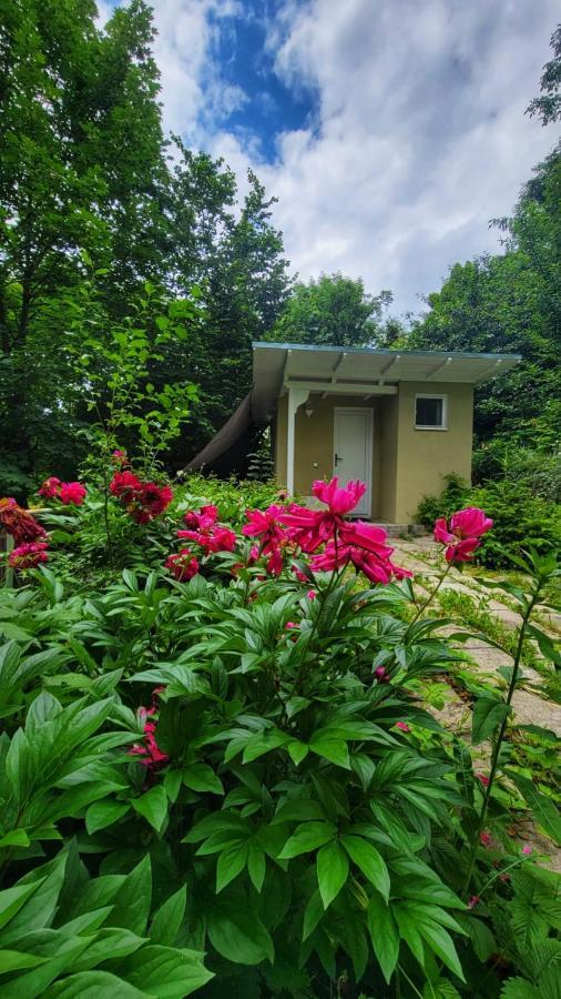 The Bungalow Braşov Eksteriør bilde