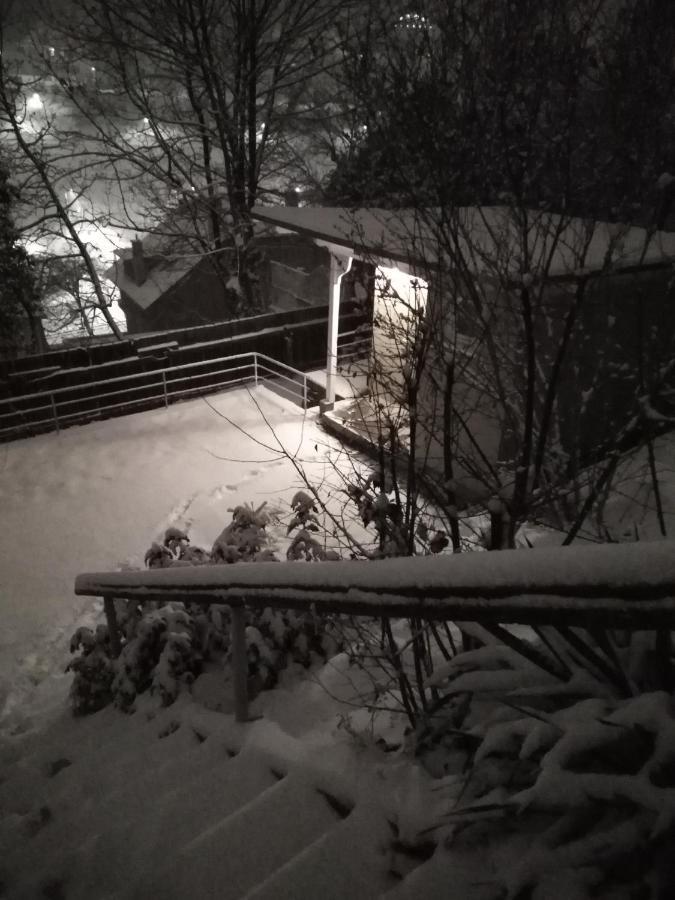 The Bungalow Braşov Eksteriør bilde
